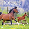 image Horses 2024 Mini Wall Calendar Main Product Image width=&quot;1000&quot; height=&quot;1000&quot;