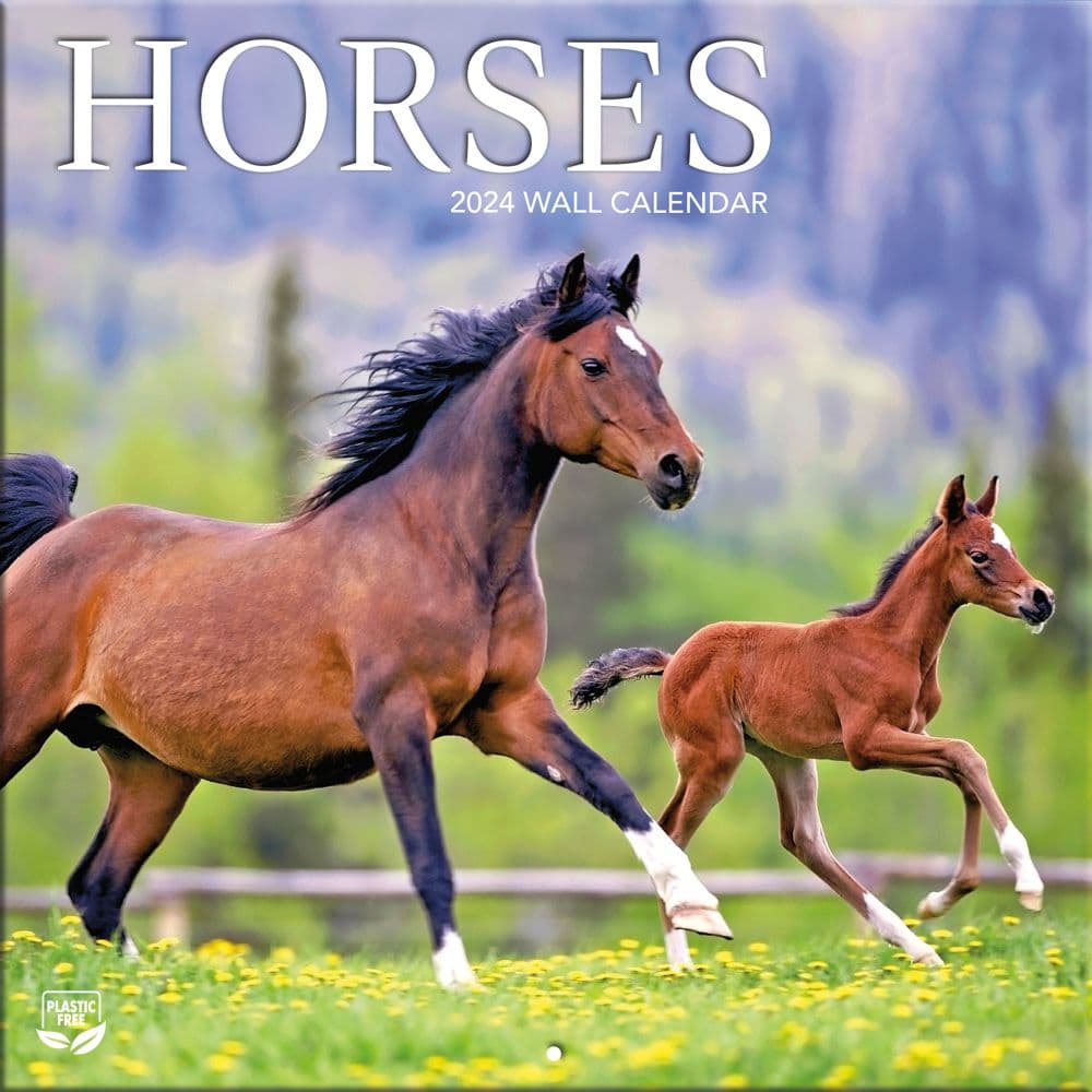 Horses 2024 Mini Wall Calendar Main Product Image width=&quot;1000&quot; height=&quot;1000&quot;
