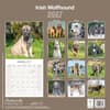 image Irish Wolfhound 2027 Wall Calendar First Alternate Image