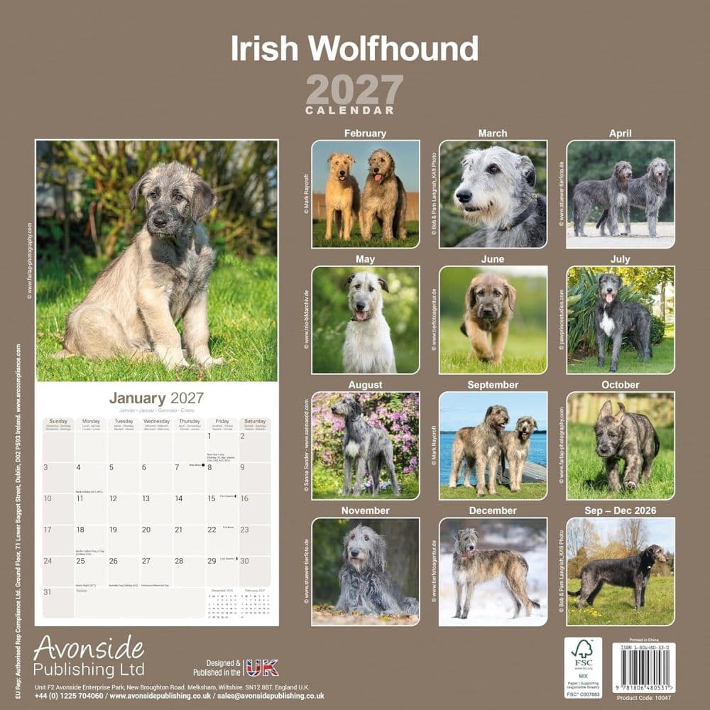 Irish Wolfhound 2027 Wall Calendar First Alternate Image