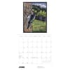 image Birds 2026 Wall Calendar by Molly Hashimoto Seventh Alternate Image