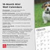 image Jack Russell Terrier Puppies 2025 Mini Wall Calendar Fifth Alternate Image width=&quot;1000&quot; height=&quot;1000&quot;