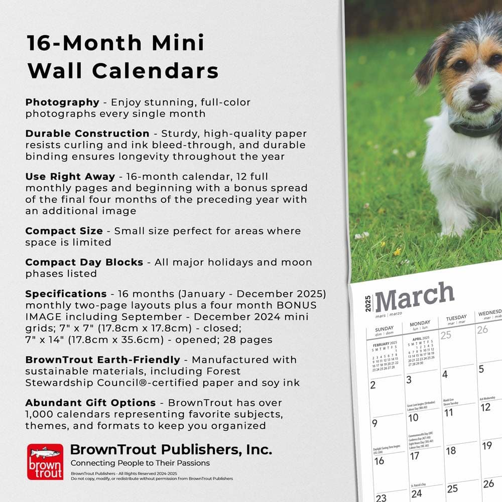 Jack Russell Terrier Puppies 2025 Mini Wall Calendar Fifth Alternate Image width=&quot;1000&quot; height=&quot;1000&quot;