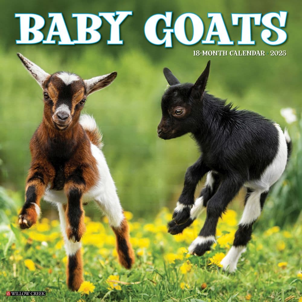 Baby Goats 2025 Wall Calendar