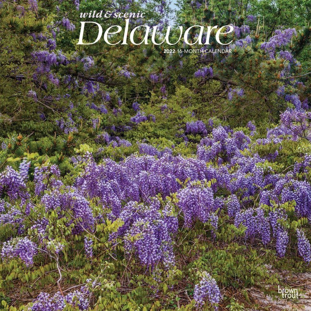 Delaware Wild and Scenic 2022 Wall Calendar