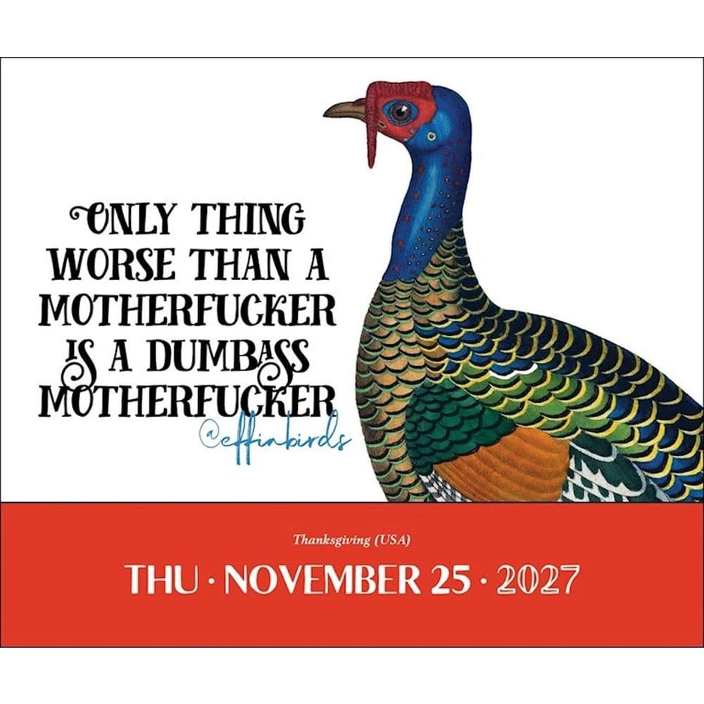Effin Birds 2027 Desk Calendar Second Alternate Image