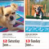 image 365 Dogs 2027 Page-A-Day Desk Calendar Third Alternate Image