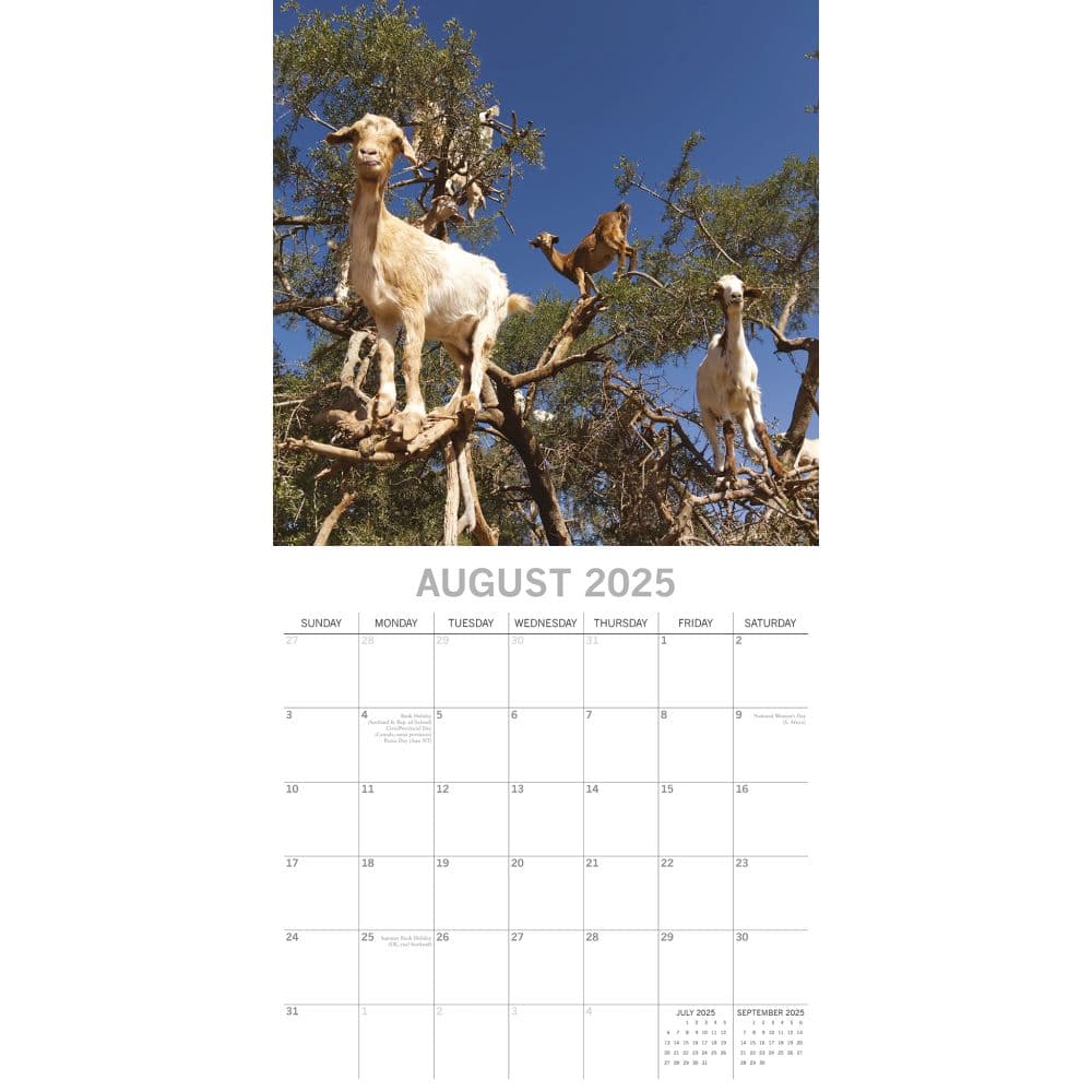 Goats In Trees Calendar 2025