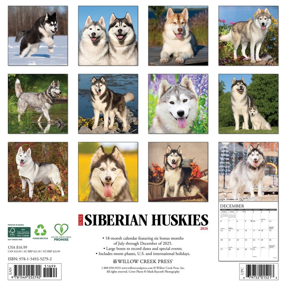 Just Siberian Huskies 2026 Wall Calendar First Alternate Image