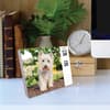 image Dogs 2025 Desk Calendar