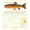 image Trout of North America 2026 Wall Calendar Fourth Alternate image