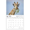 image giraffes-wwf-2024-wall-calendar-alt2