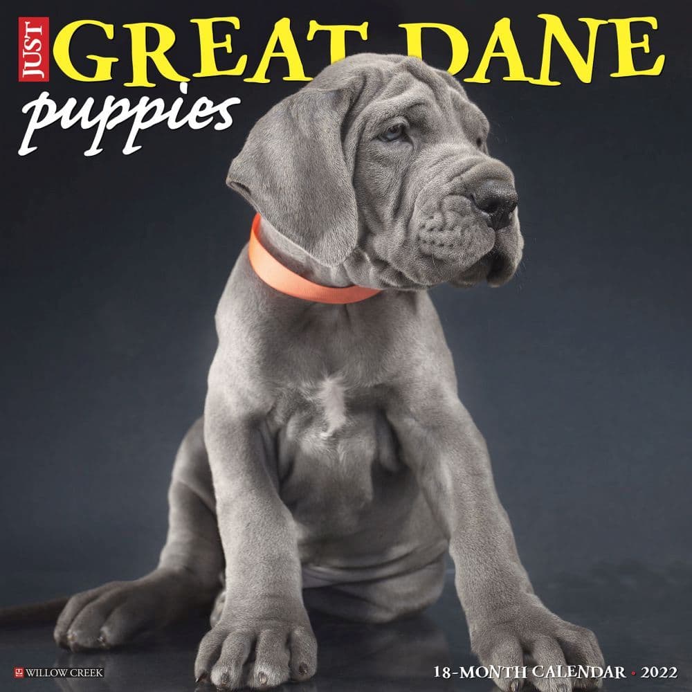 Great Dane Puppies 2022 Wall Calendar - Calendars.com