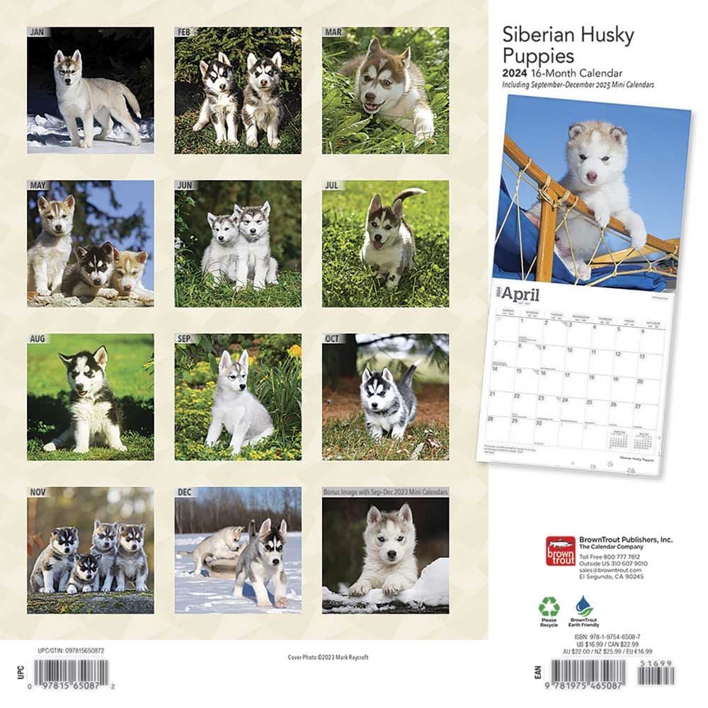 Siberian Husky Puppies 2025 Wall Calendar