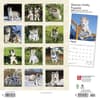 image Siberian Husky Puppies 2024 Wall Calendar First Alternate Image width=&quot;1000&quot; height=&quot;1000&quot;