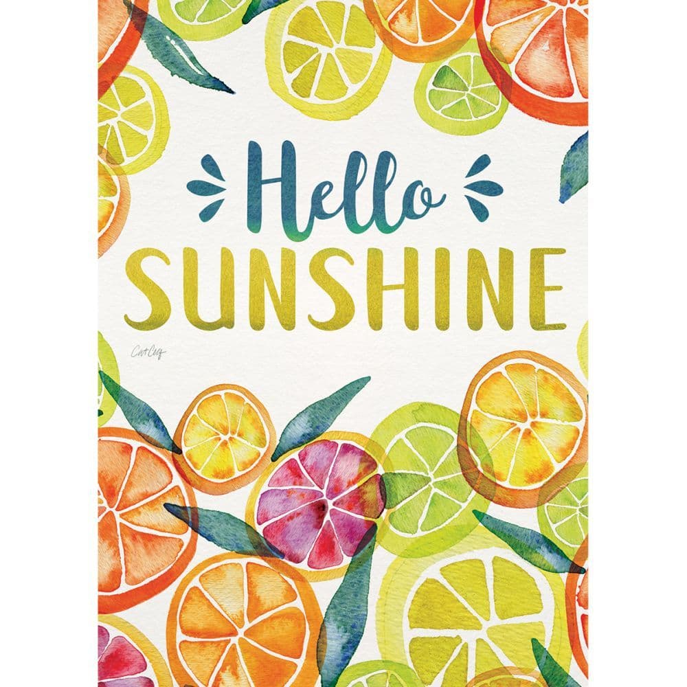 Main Squeeze Mini Garden Flag by Cat Coquillette Main Image