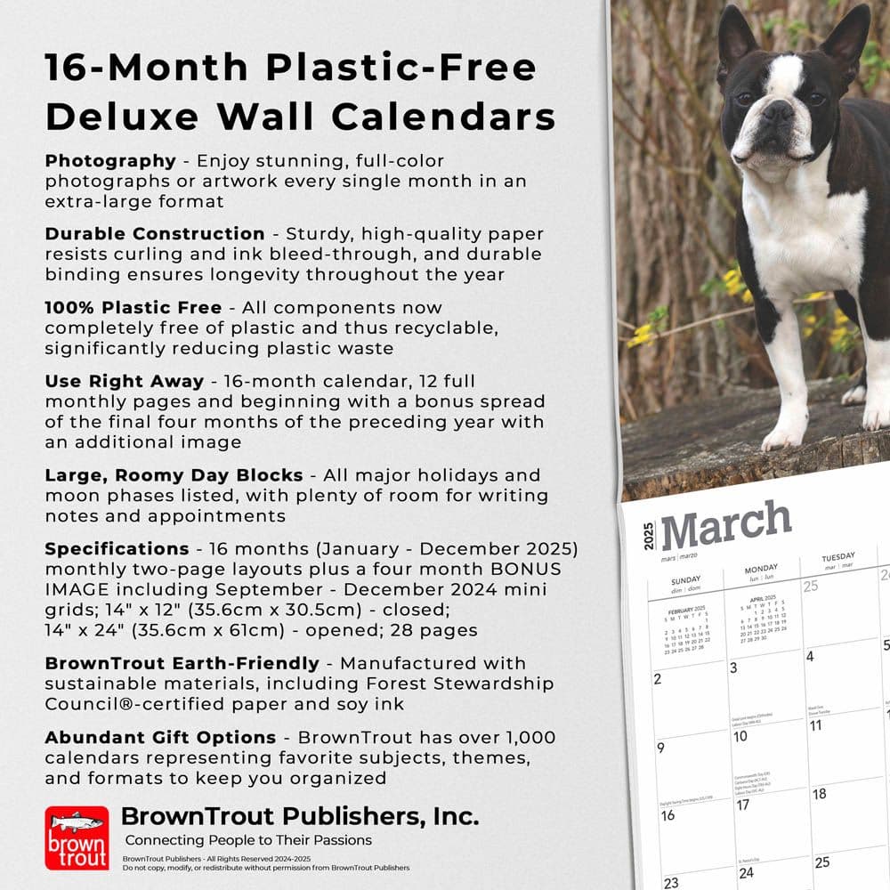 Boston Terriers Deluxe 2025 Wall Calendar info