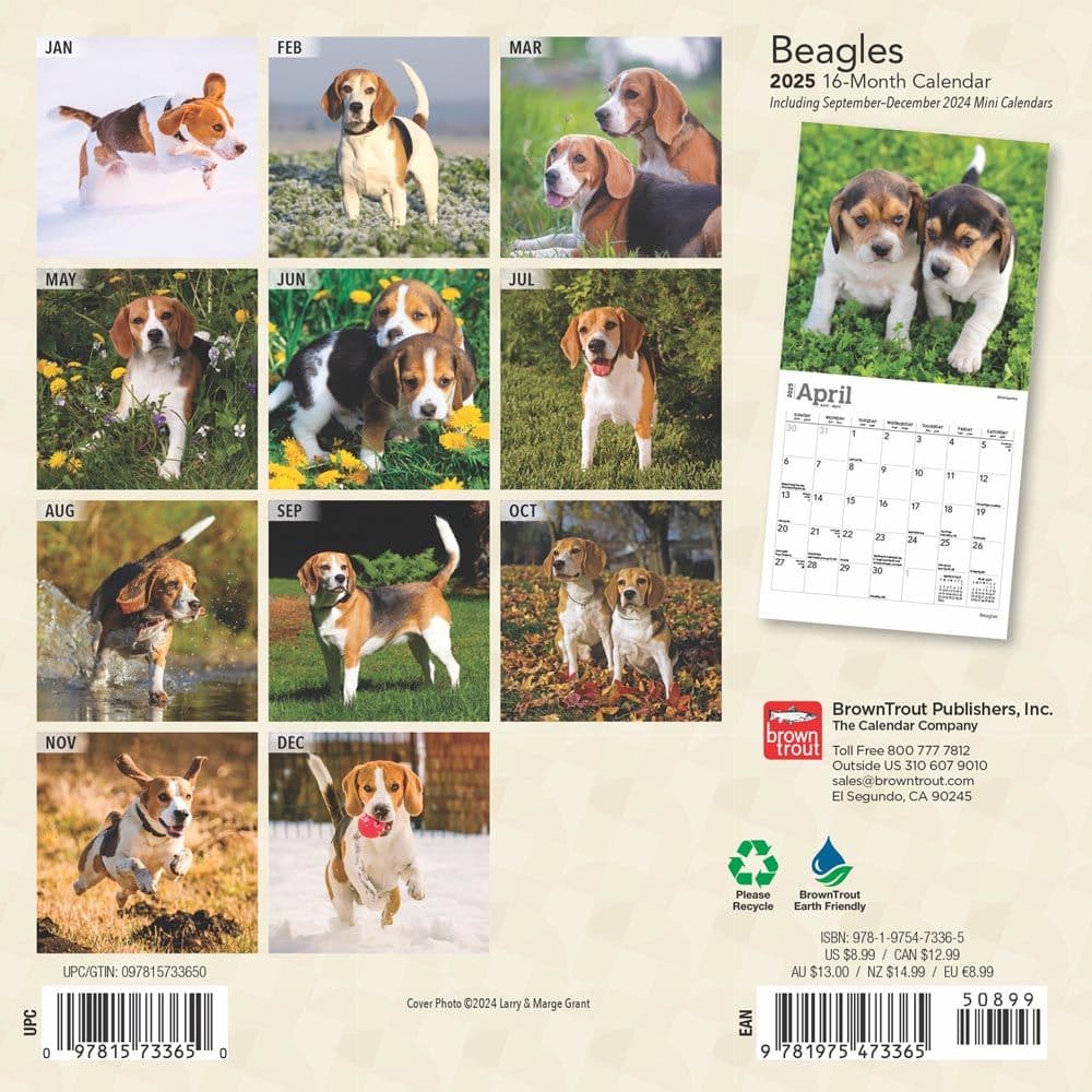 Beagle 2025 Mini Wall Calendar
