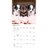 image Chihuahua Puppies 2026 Mini Wall Calendar Second Alternate Image