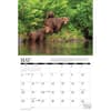 image Bears 2025 Wall Calendar Alt2