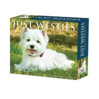 image Just Westies 2026 Desk Calendar Main Image