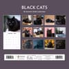 image Black Cats 2026 Wall Calendar First Alternate Image