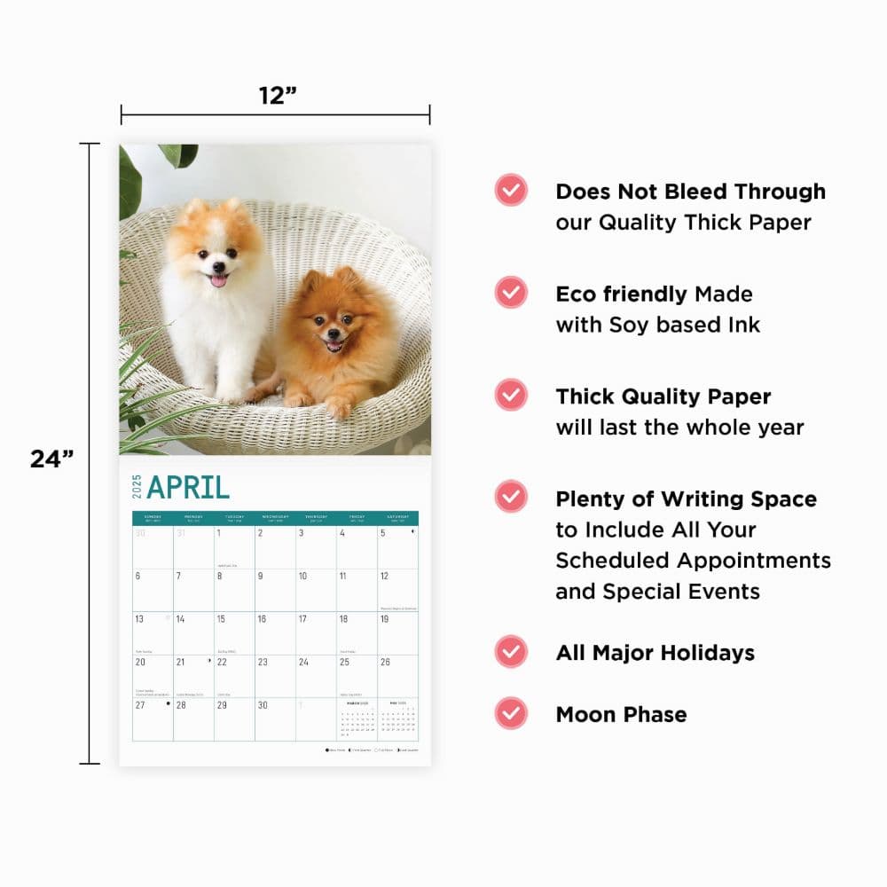 Pomeranian Puppies 2025 Wall Calendar