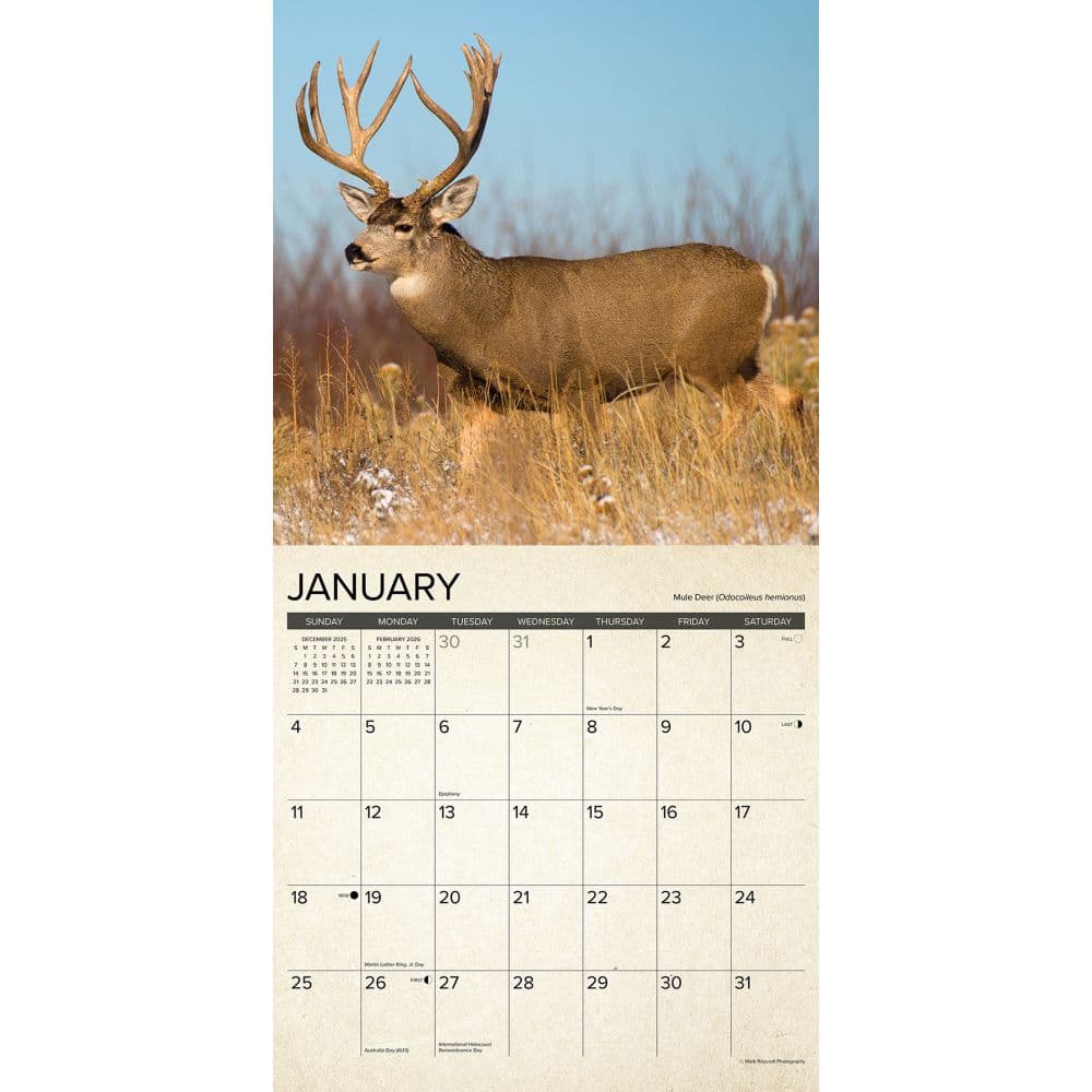 Canadian Fish and Wild Game 2026 Wall Calendar Second Alternate Image