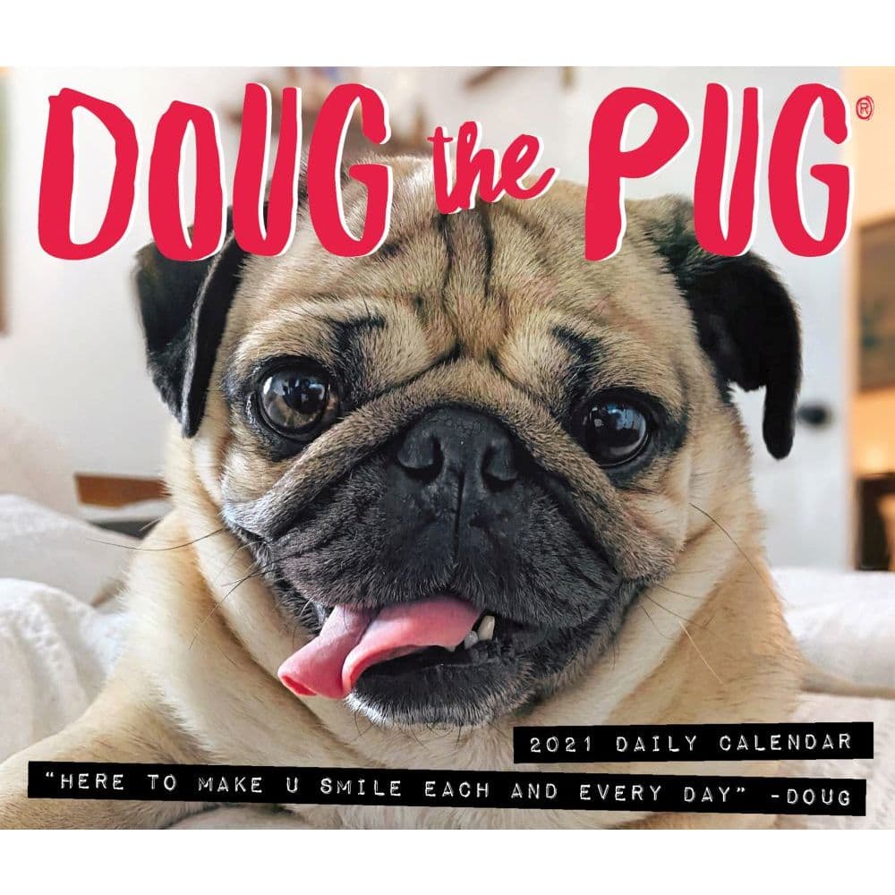 Doug The Pug Desk Calendar