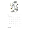 image Mushrooms Viazmensky 2026 Wall Calendar Third Alternate Image