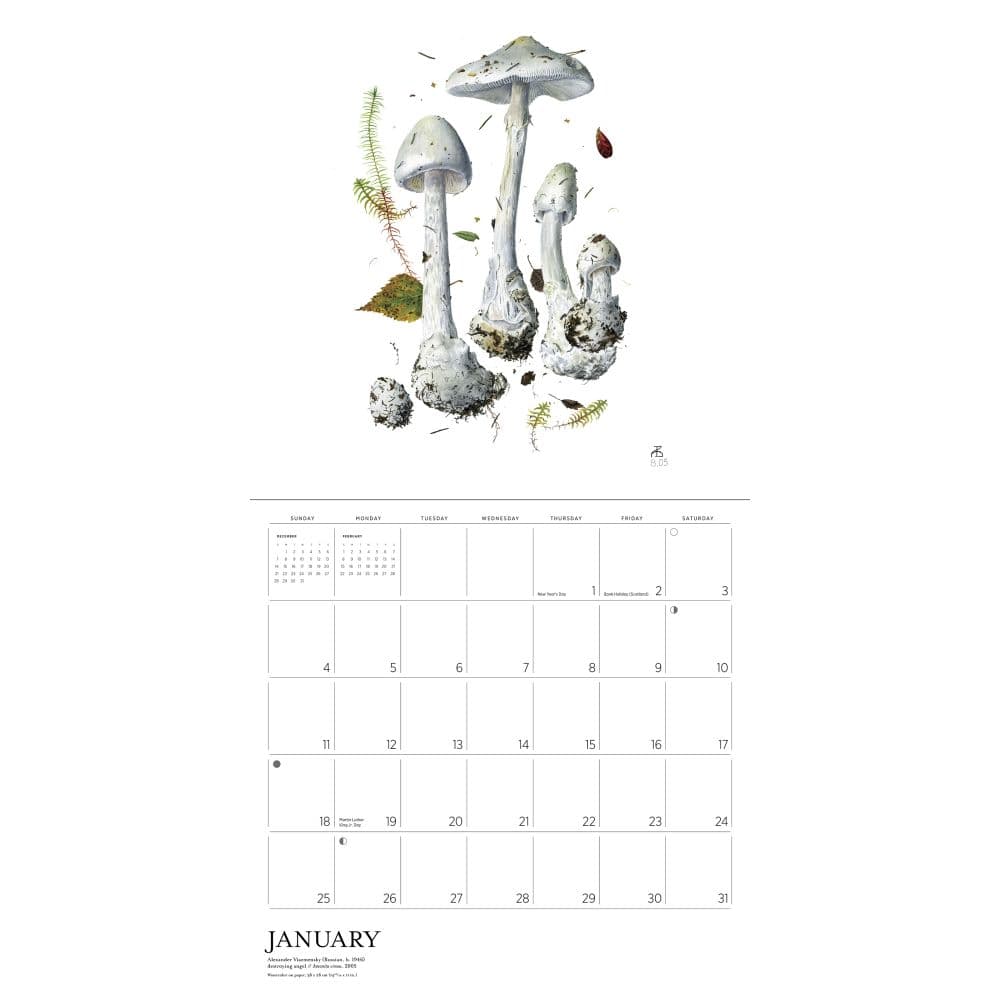 Mushrooms Viazmensky 2026 Wall Calendar Third Alternate Image