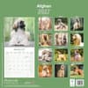 image Afghan 2027 Wall Calendar