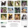 image Just Akitas 2025 Wall Calendar