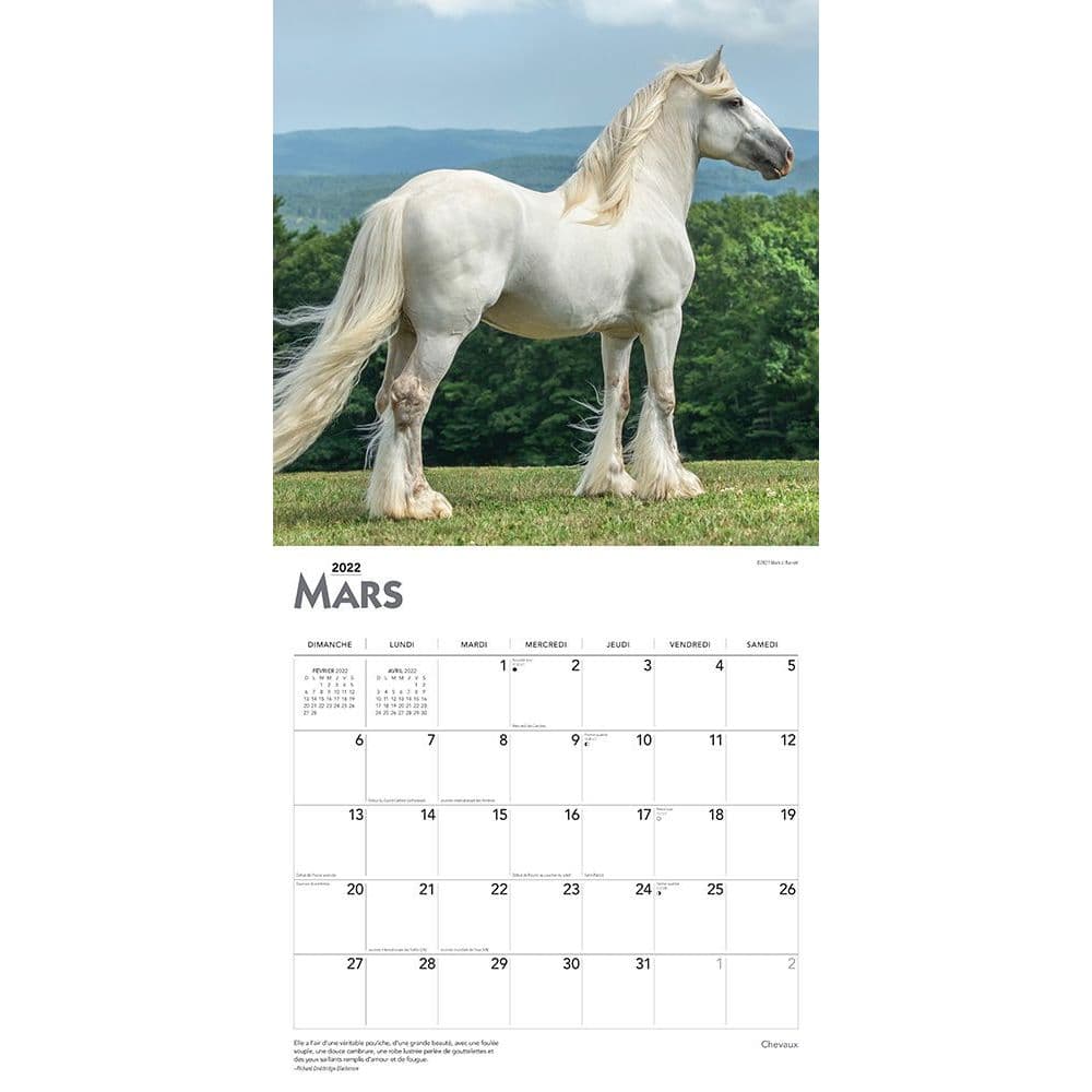 Calendrier Chevaux 2023 Chevaux Horses 2022 Wall Calendar - Calendars.com