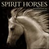 image Horses Spirit 2026 Wall Calendar Main Image