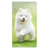 image I Love Puppies 2 Year Pocket 2024 Planner Main Product Image width=&quot;1000&quot; height=&quot;1000&quot;