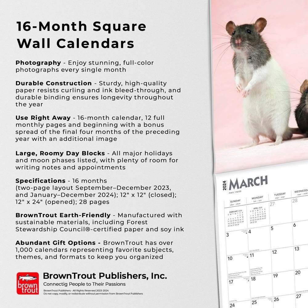 Rats 2024 Wall Calendar Fourth Alternate Image width=&quot;1000&quot; height=&quot;1000&quot;