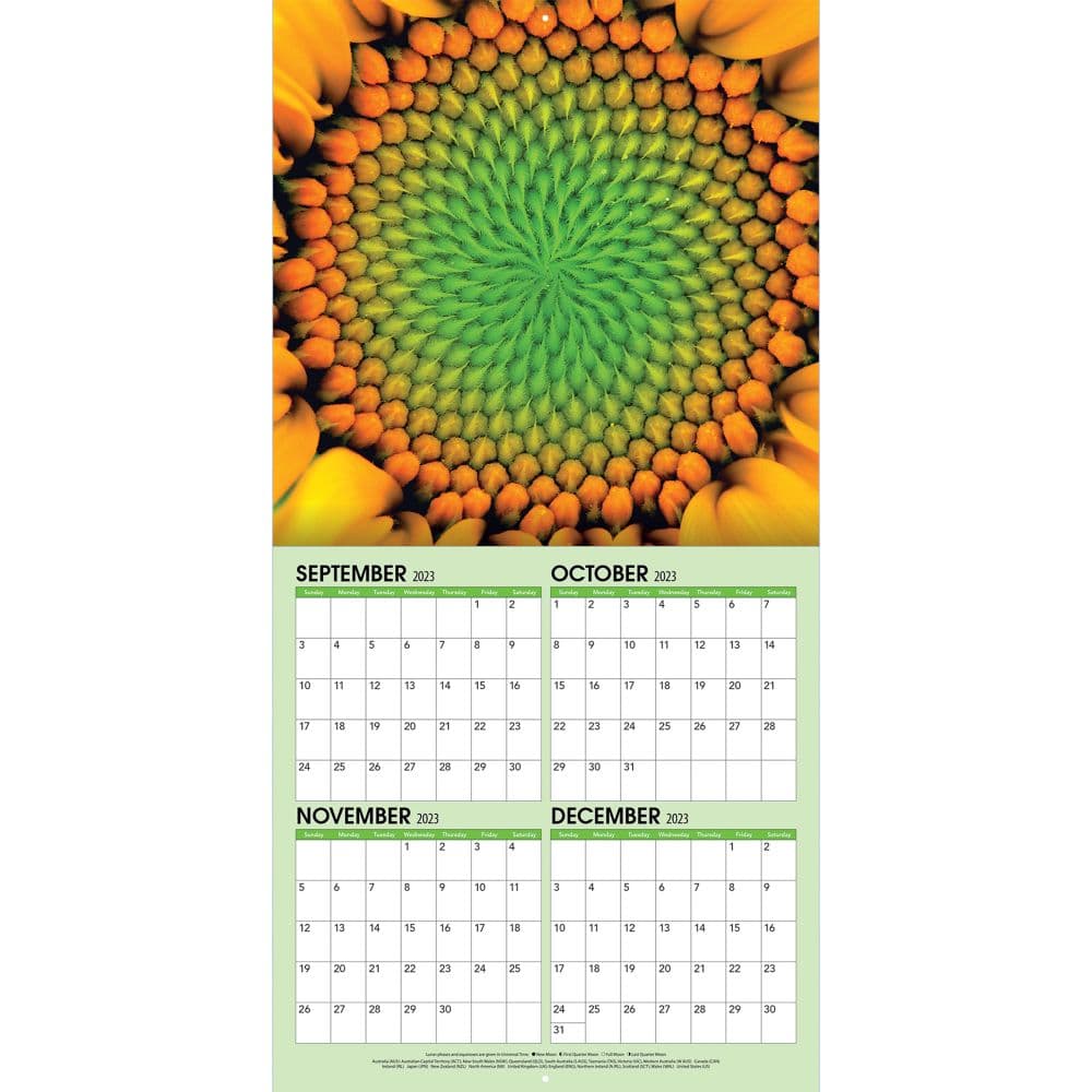 Sunflowers 2024 Wall Calendar Alternate Image 3