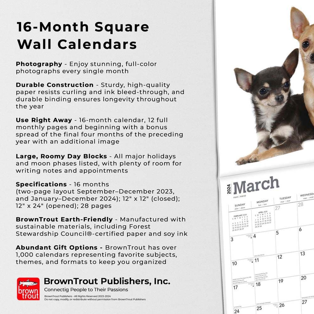 Chihuahuas 2024 Wall Calendar