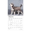 image Siberian Husky Puppies 2025 Mini Wall Calendar