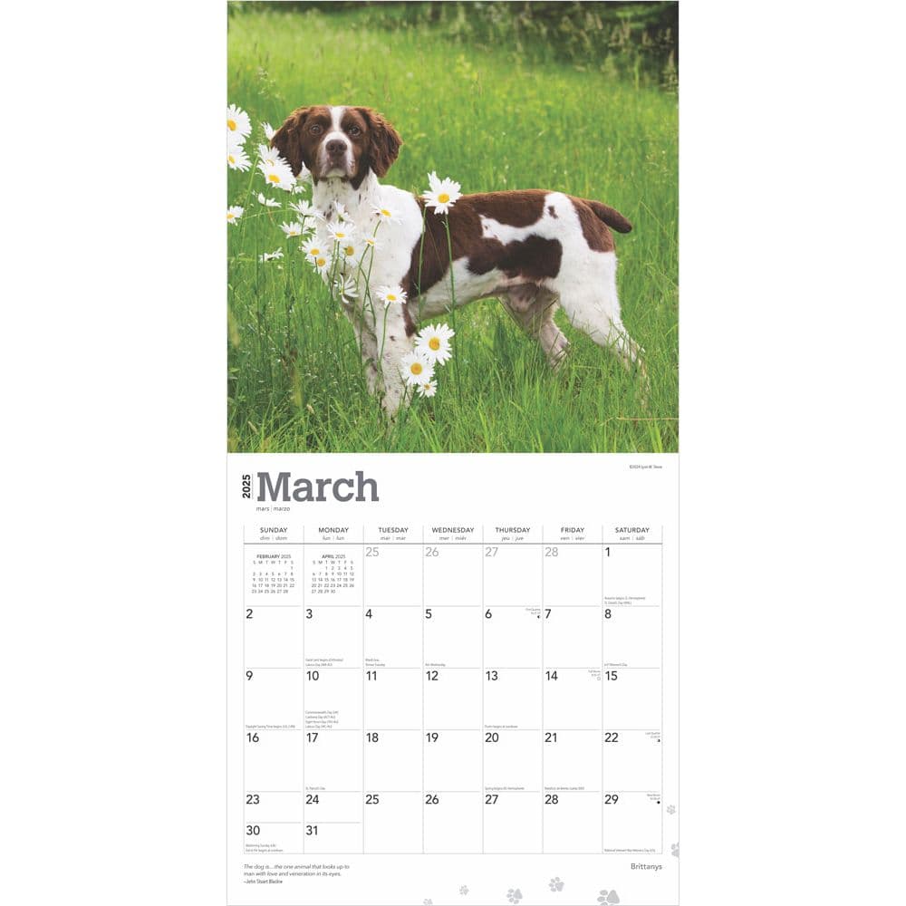 Brittanys 2025 Wall Calendar First Alternate Image width=&quot;1000&quot; height=&quot;1000&quot;
