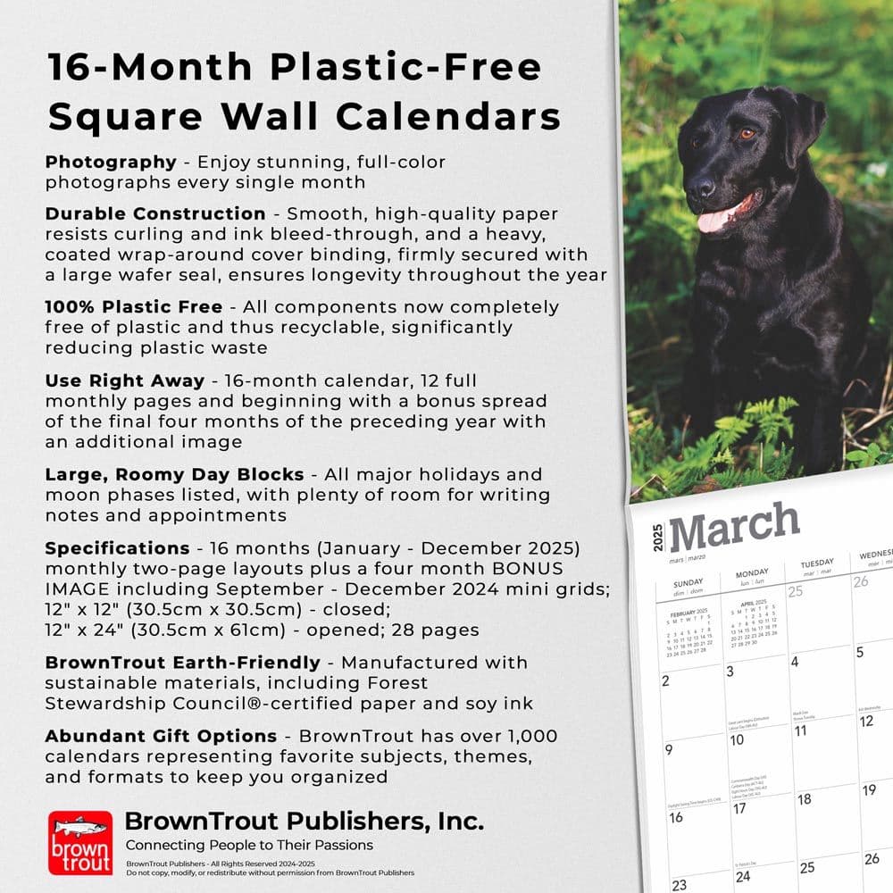 Labrador Retrievers 2025 Wall Calendar