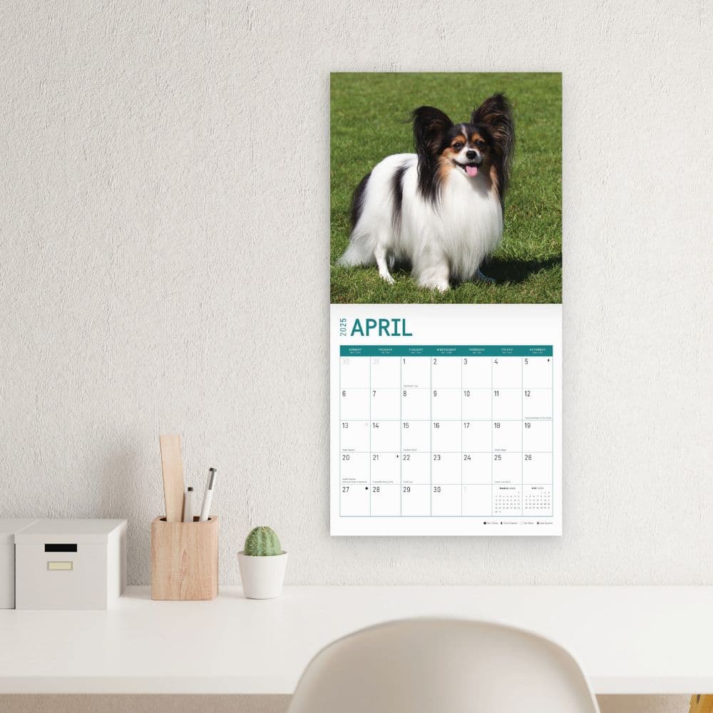 Papillons 2025 Wall Calendar Fifth Alternate Image