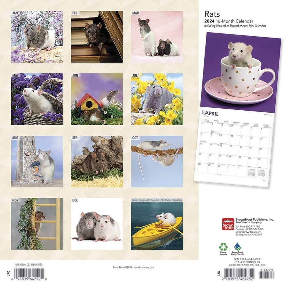 Rats 2024 Wall Calendar