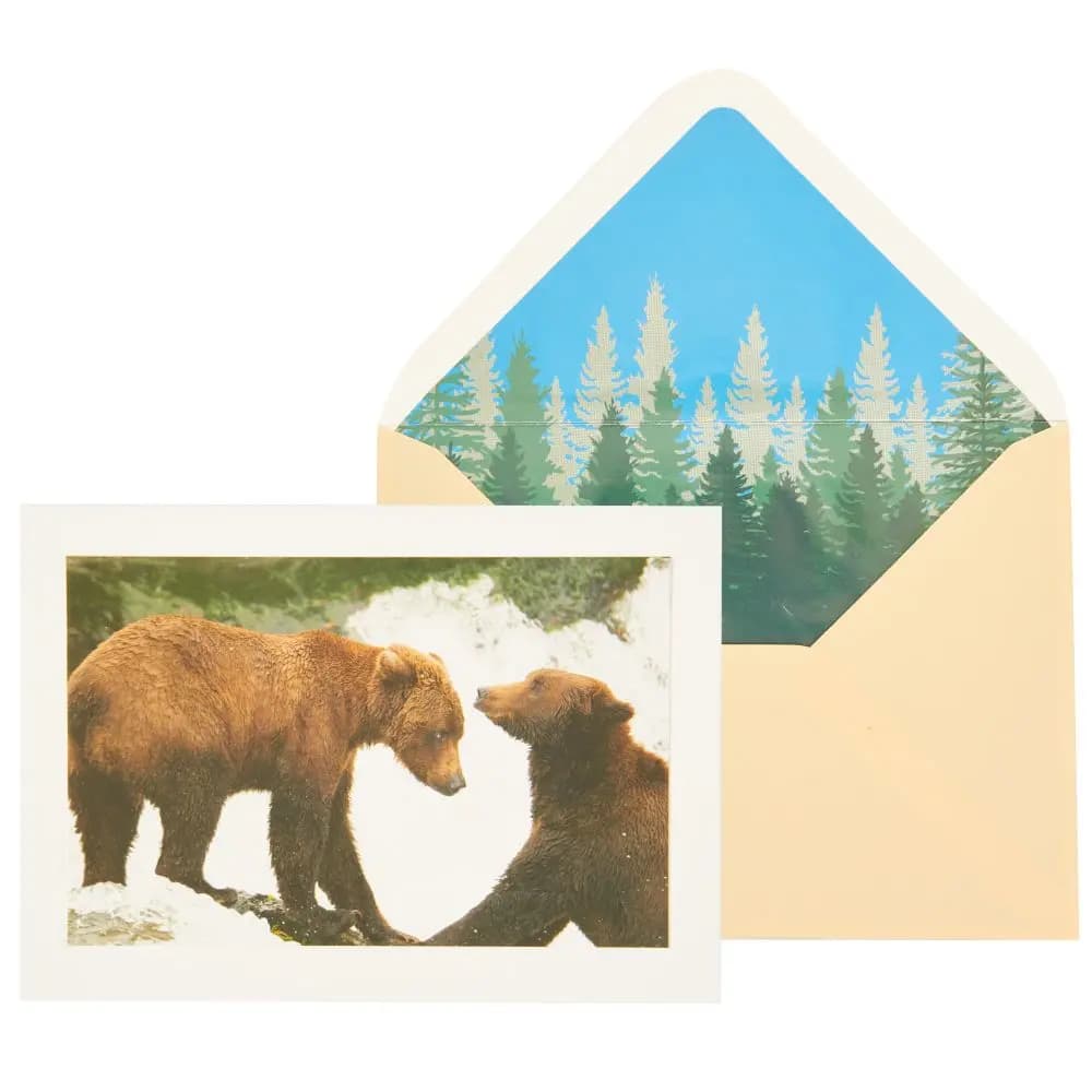 Photo Bear Friends Blank Card Main Product Image width=&quot;1000&quot; height=&quot;1000&quot;