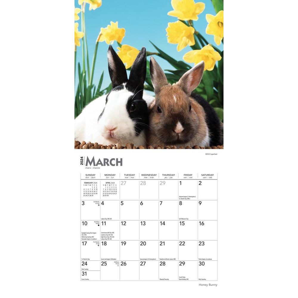 Honey Bunny 2024 Mini Wall Calendar