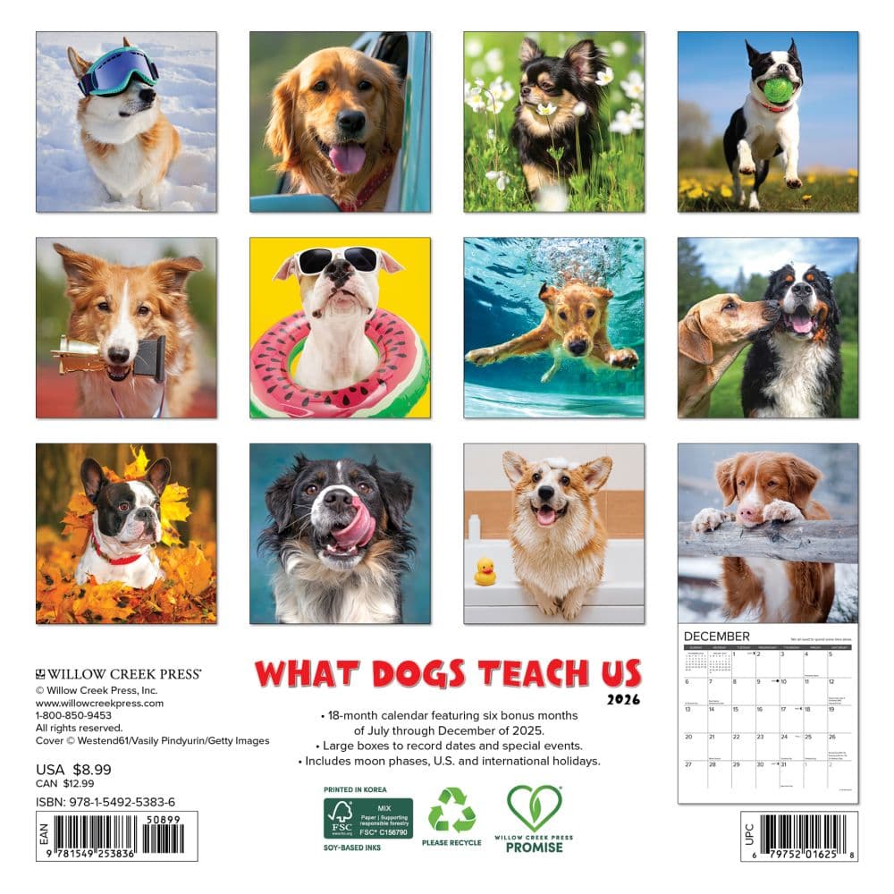 What Dogs Teach Us 2026 Mini Wall Calendar First Alternate Image