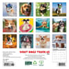 image What Dogs Teach Us 2026 Mini Wall Calendar First Alternate Image