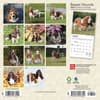 image Basset Hound 2024 Mini Wall Calendar First Alternate Image width=&quot;1000&quot; height=&quot;1000&quot;
