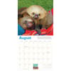 image Sloths 2027 Wall Calendar Fourth Alternate Image